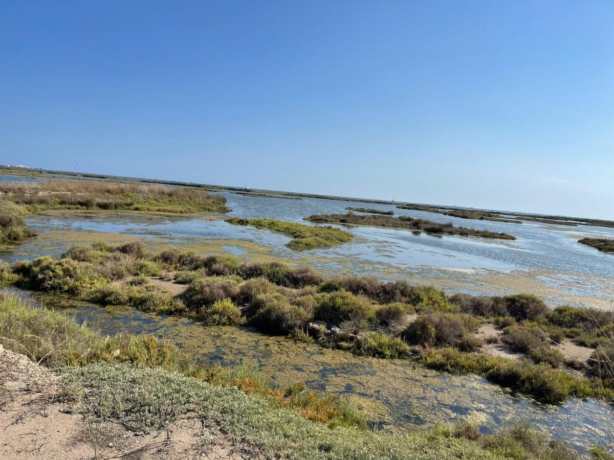 Вілла La Calma Del Delta L'Eucaliptus Екстер'єр фото